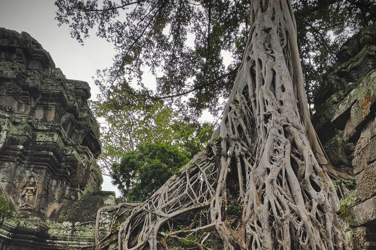 Phnom Penh: Fly-In Angkor Wat Tour & Flex-Airport Transfers⁠ Option 1: Angkor Temples w/ Hotel Pickup & Airport Drop-off