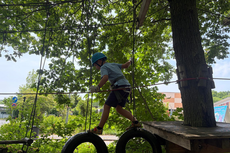 Kelkheim: Outdoor climbing experience in the forest ropes course with circuit and zip lines