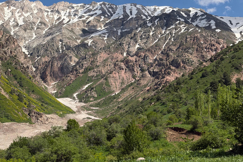 From Tashkent: Amirsoy, Chimgan & Charvak Mountain Day Trip For Local Visitors