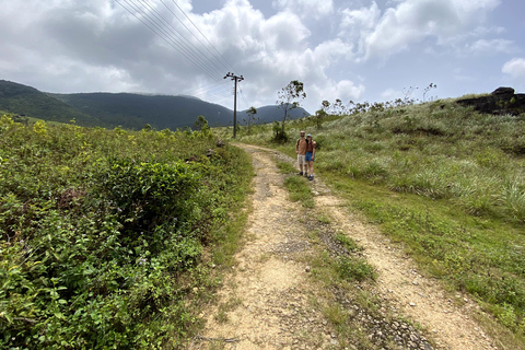 Tedo 7 Waterfalls Peak Adventure – Knuckles Mountain Range