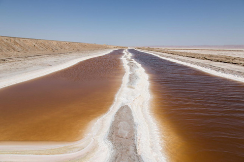 From Djerba: 2-Day Tozeur & Sahara Tour , Oasis & Star Wars