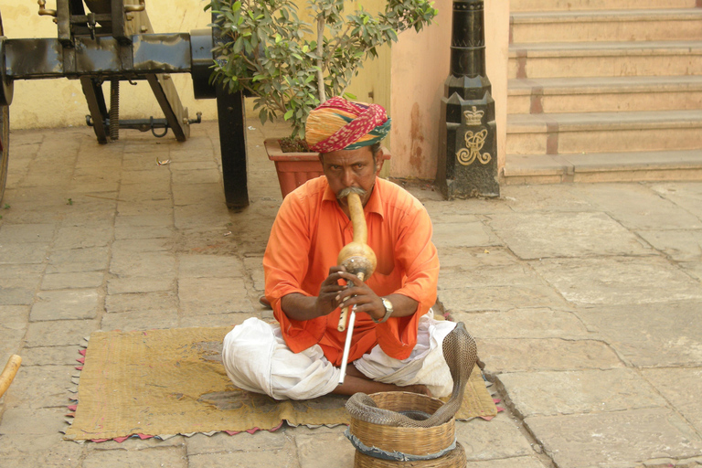 Jaipur: Amber Fort, Stadtpalast und Hawa Mahal Tagestour