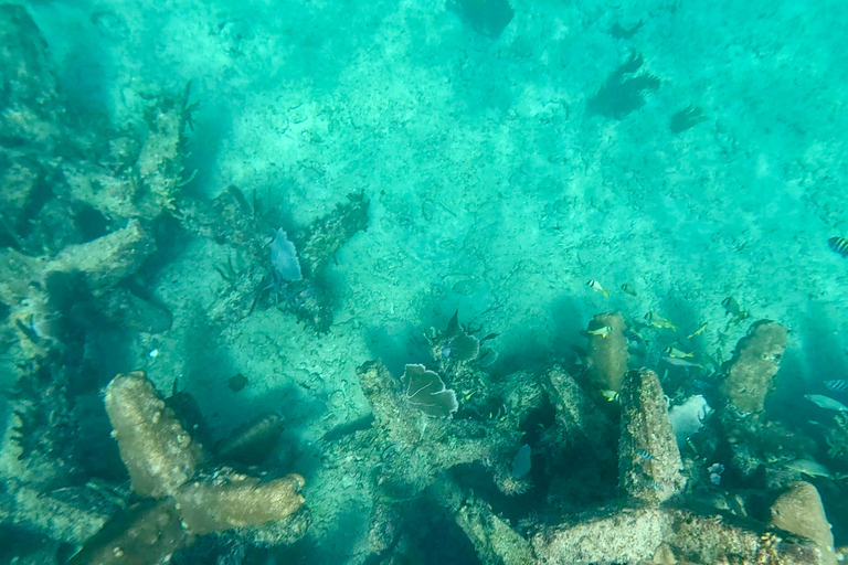 Ft Lauderdale: Combo Deal Snorkel Reefs, Kayak/SUP Mangroves