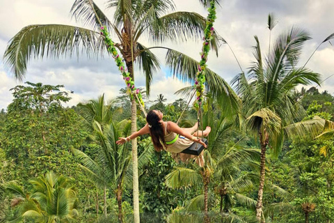 Alas Tirta: Bali Swing, Zipline & Hidden Waterfall - Ubud One Swing Package