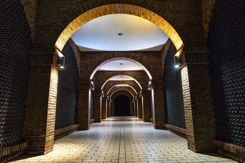 A partir de Bilbau: tour particular a adegas com degustação de vinhos e almoçoEspanhol