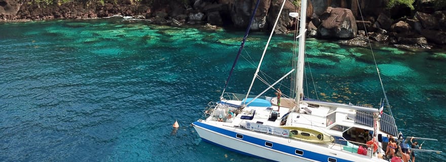 Les Anses-d'Arlet : Excursion en catamaran avec observation des tortues