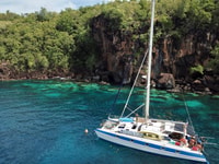 Journée catamaran snorkeling paddles tortues BBQ - Hizvo