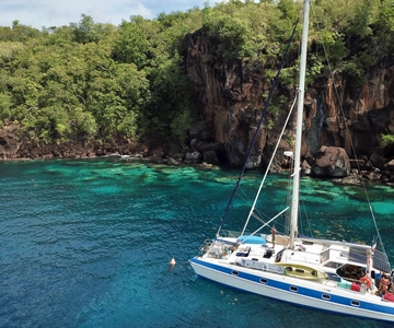 Les Anses-d'Arlet: Catamaran Trip with Turtle Watching
