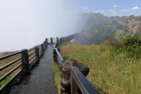 Livingstone: Victoria Falls Cross-Border Experience
