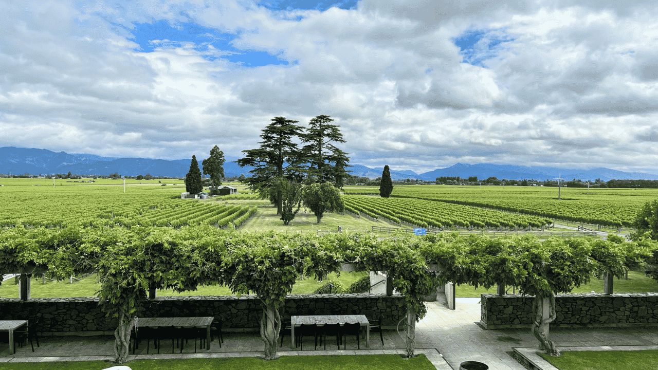 Picton: Privater Landausflug in die Marlborough-Weinregion