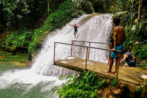 Montego Bay: Blue Hole, Secret Falls, and Dunn's River Tour