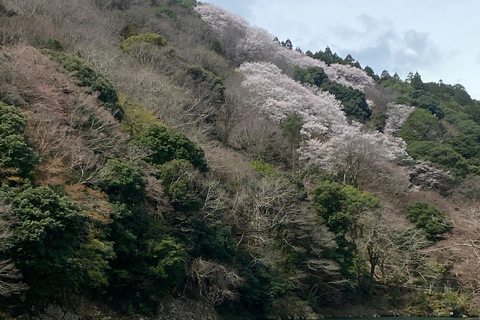 Kyoto: Nara Early-Access Private Tour with Guide & Car