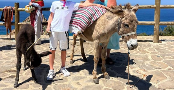 Tangier: Shore Excursion Tailored to Your Ship’s Schedule