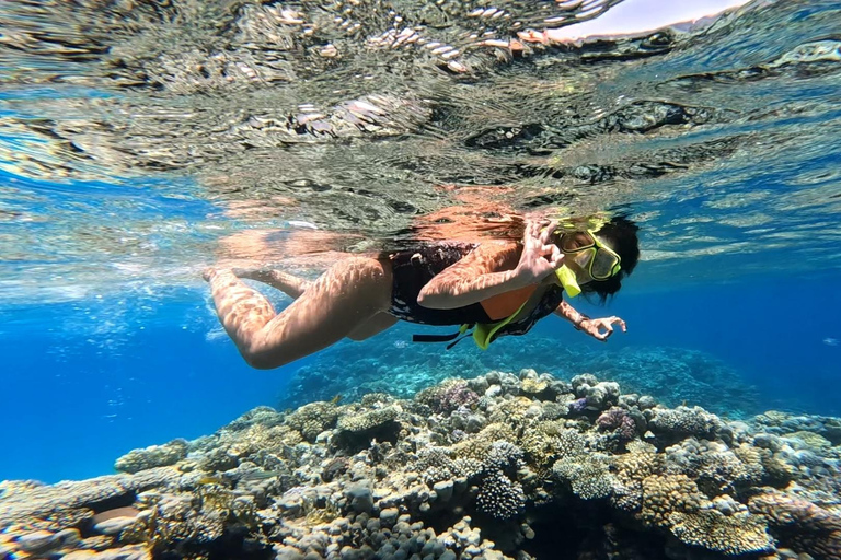 Hurgada: tour en barco de 7 horas con delfines, esnórquel y almuerzo