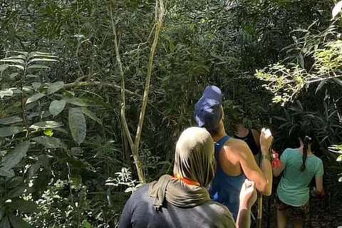 Zanzibar: Zipline Adventure At Masingini Forest Zanzibar: Zipline Adventure At Masingini Forest