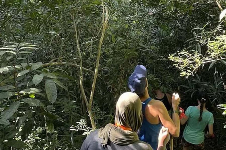 Zanzibar: Zipline Adventure At Masingini Forest Zanzibar: Zipline Adventure At Masingini Forest