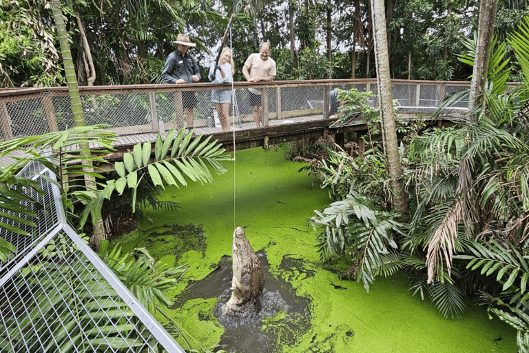 Port Douglas: Wildlife Habitat Croc Feed Upplevelse &amp; inträde