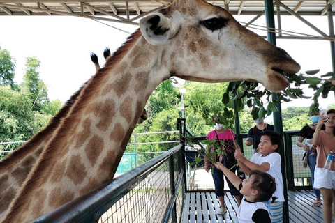 Nairobi: Giraffe Centre and Elephant Orphanage Giraffe Centre and Elephant Orphanage with entry fee