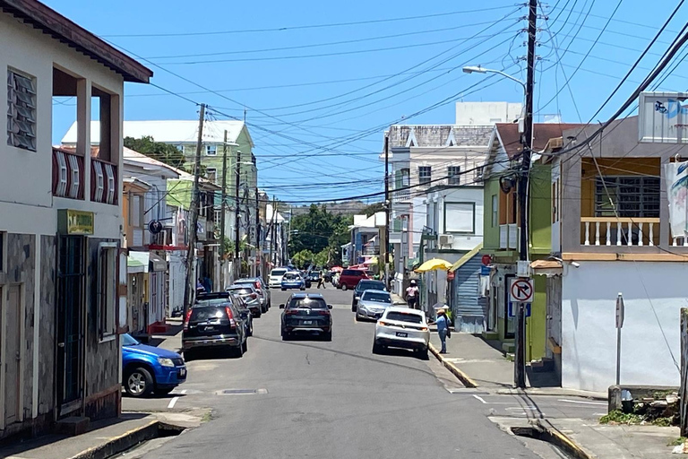 Basseterre: Guided Walking Tour with Optional Beach