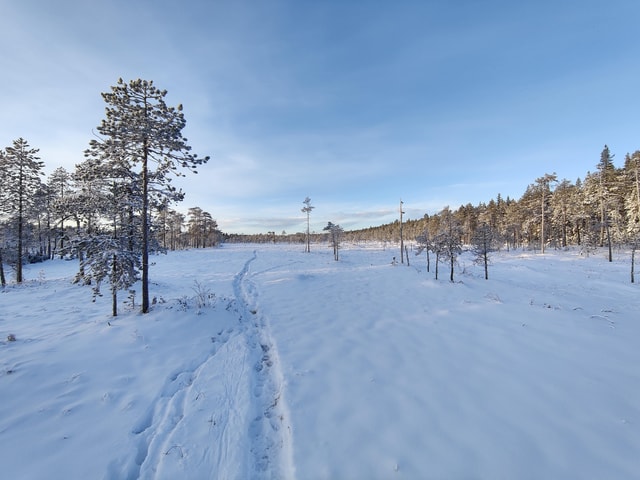 Rovaniemi: Winter Hike and Finnish Sauna Experience