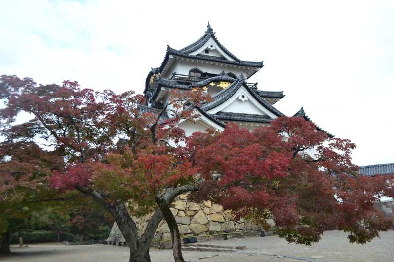 Shiga Audio Guide: The Majestic Lake Castle - Hikone Castle