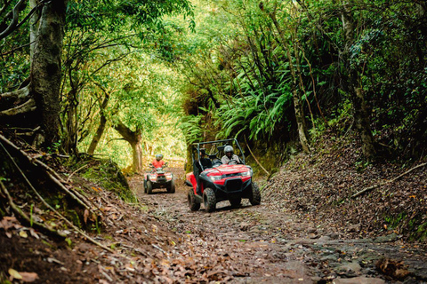 Mauricio: Excursión en quad por la Reserva Natural de Bel Ombre