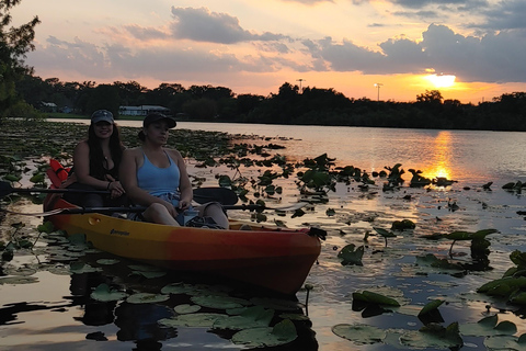 Orlando: Sunset guided kayaking tour