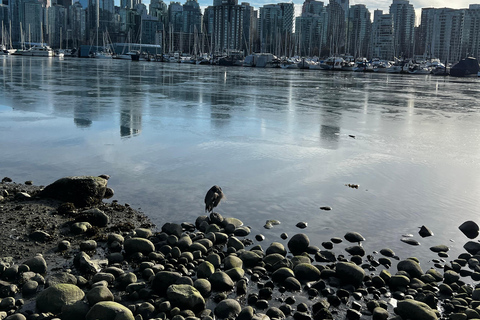 Vancouver : Trésors parlés Stanley Park