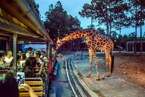 Chiang Mai: Night Safari Entry Ticket Entry Ticket + One Tram Ride