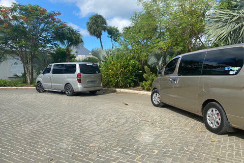 Traslado al aeropuerto privado: Aeropuerto de Punta Cana a Hotel