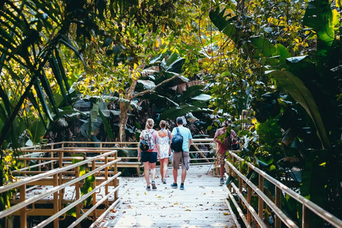 Manuel Antonio: Surfles voor iedereen - Costa Rica