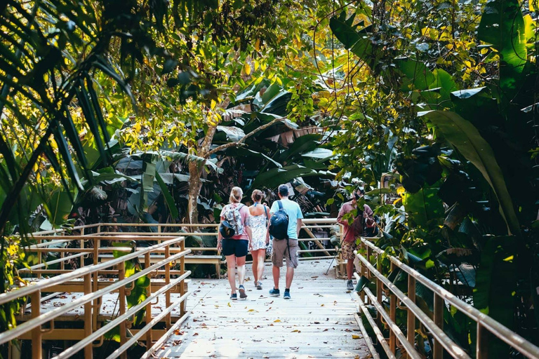 Manuel Antonio: Lekcje surfingu dla każdego - Kostaryka