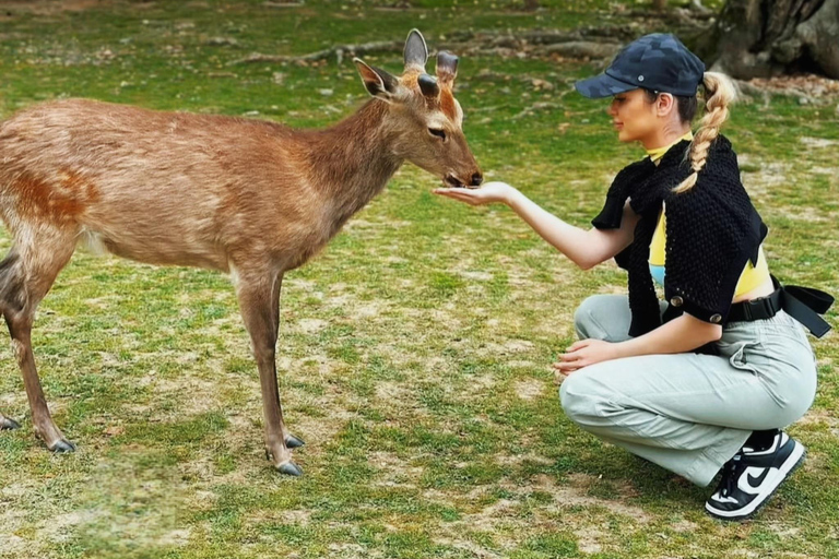 Kyoto/Nara: Must-see Spots in One Day Tour with Hotel Pickup