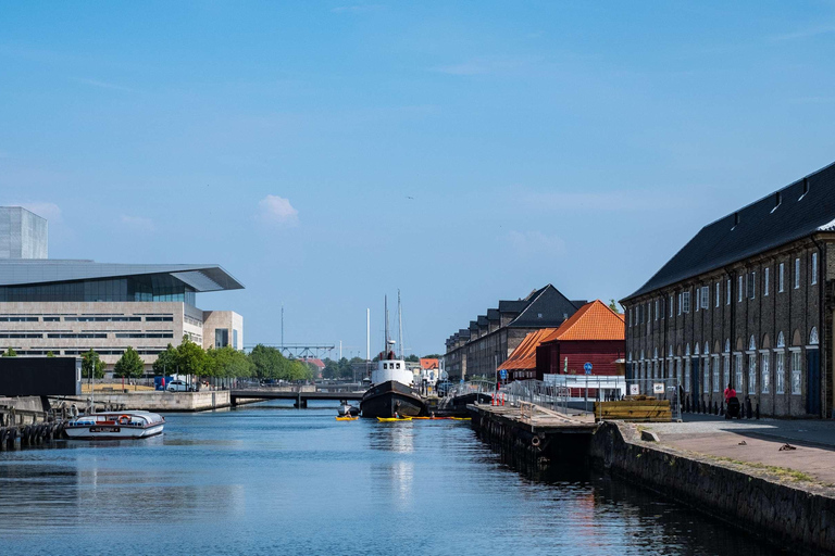 Croisière sur les canaux de Copenhague et visite à pied de la ville et de Nyhavn3 heures : Visite de la vieille ville et croisière en bateau