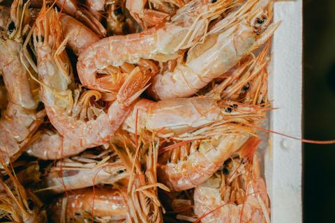 Gothenburg: Swedish Archipelago Sail Tour with Shrimp Meal