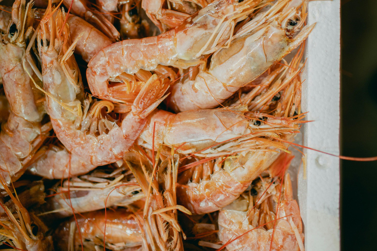 Gothenburg: Swedish Archipelago Sail Tour with Shrimp Meal