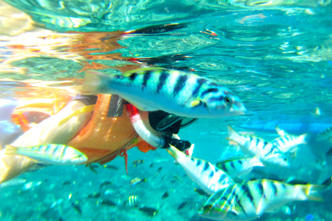 Phuket: PhiPhi Island Snorkeling Tour with Lunch Full Day Tour without Transfer