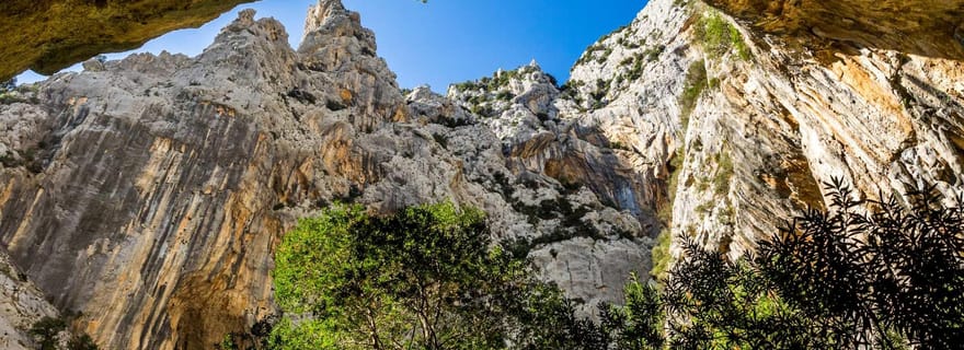 Depuis Cala Gonone : Randonnée au Gorropu avec déjeuner