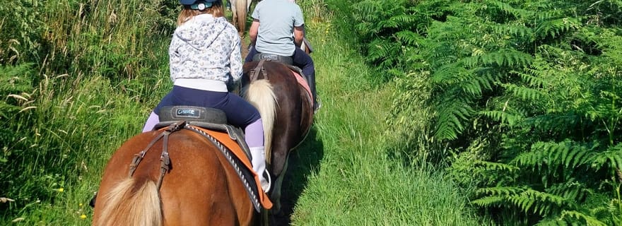 BALADE DECOUVERTE A PONEY