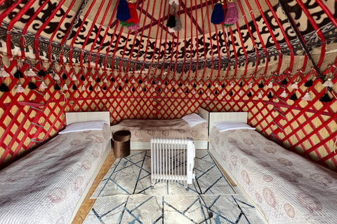 From Bukhara/Samarkand: 2-Day Aydarkul Lake & Yurt Camp Tour Private tour to Aydar Lake & Yurt from Bukhara to samarkand