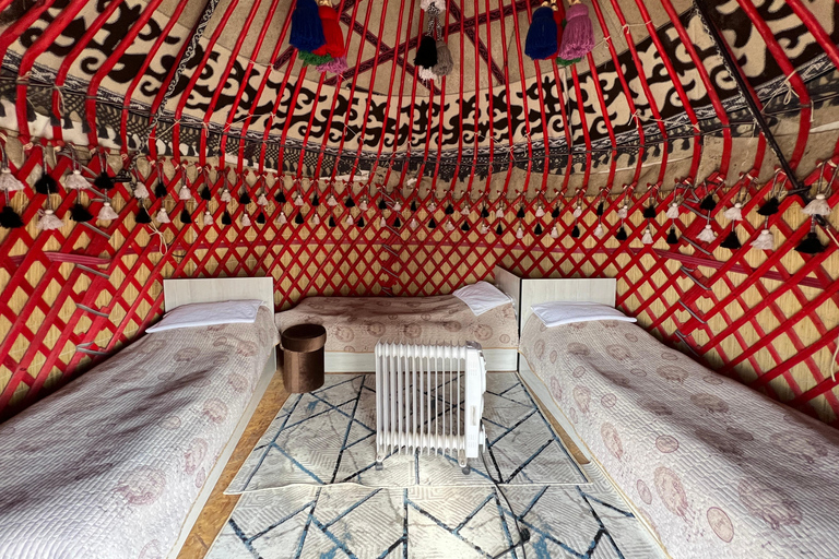 From Bukhara/Samarkand: 2-Day Aydarkul Lake & Yurt Camp Tour Private tour to Aydar Lake & Yurt from Bukhara to samarkand