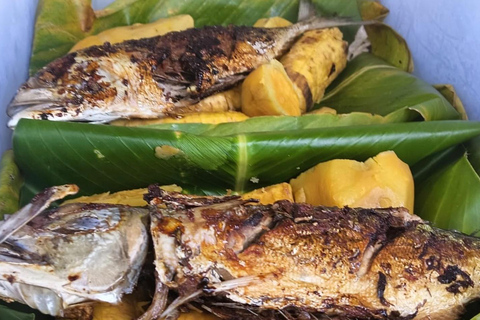 Port Vila: Chocolate Factory, Village, & Waterfall Tour Full Local Lunch Option