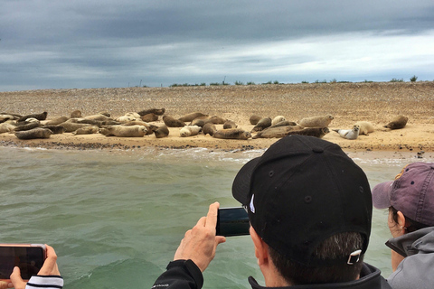 From Cambridge: Guided day trip to the North Norfolk Coast