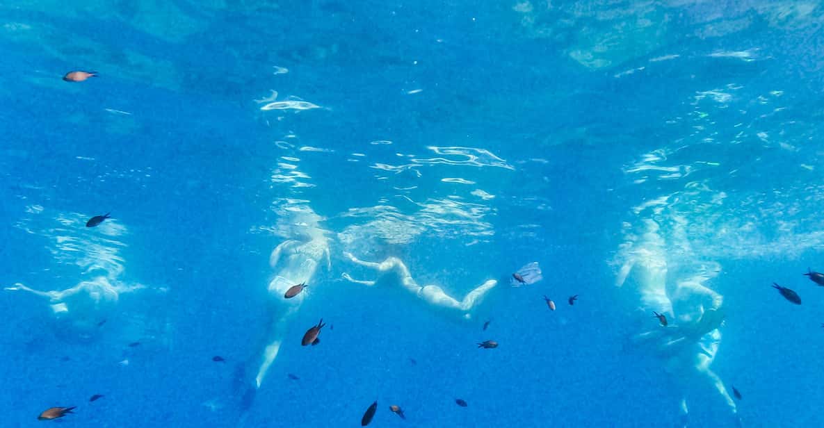 Afbeelding 4 van Vanuit Nice: zwem- en snorkelcruise aan de Franse Rivièra