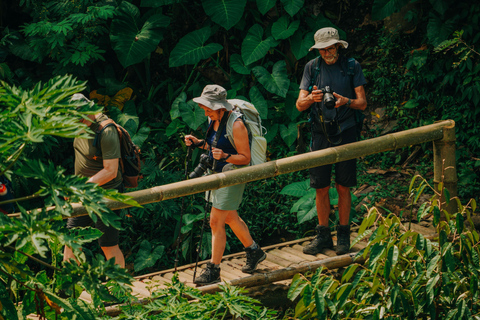 Yogyakarta: Merapi Sunrise Jeep and Trek with Lunch