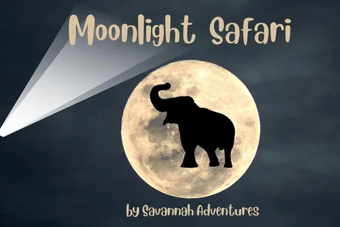 Victoria Falls Night Activity: Stargazing Experience