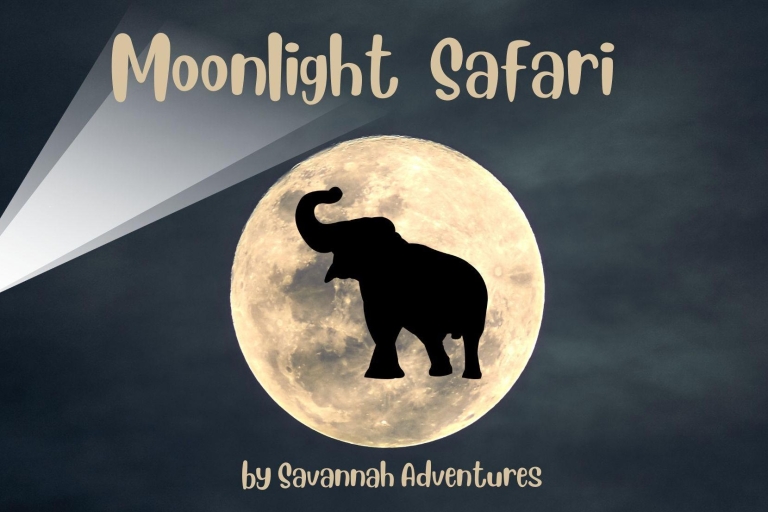 Victoria Watervallen Park: Maanlichtsafari in Safari JeepPrivé safari bij maanlicht