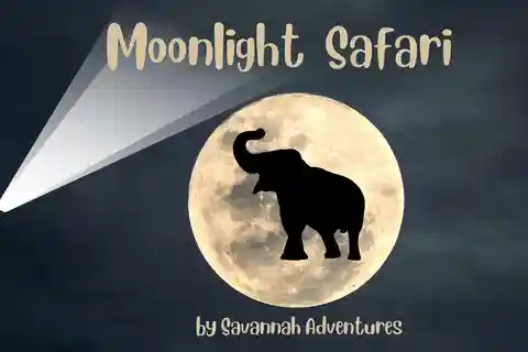 Victoria Falls Night Activity: Stargazing Experience