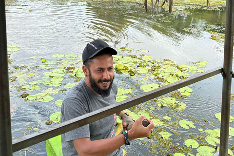 Kandy: Sigiriya, Dambulla och en dagsutflykt på bysafariKandy: Sigiriya, Dambulla, and Village Safari Day Trip