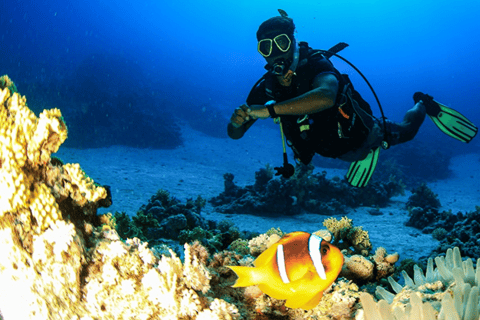 Sharm El-Sheikh: Beach Day & Intro Scuba Diving